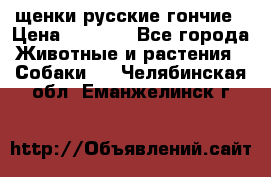 щенки русские гончие › Цена ­ 4 000 - Все города Животные и растения » Собаки   . Челябинская обл.,Еманжелинск г.